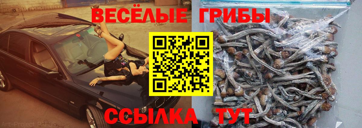 Галлюциногенные грибы мухоморы  Вход с VPN  Осинники 